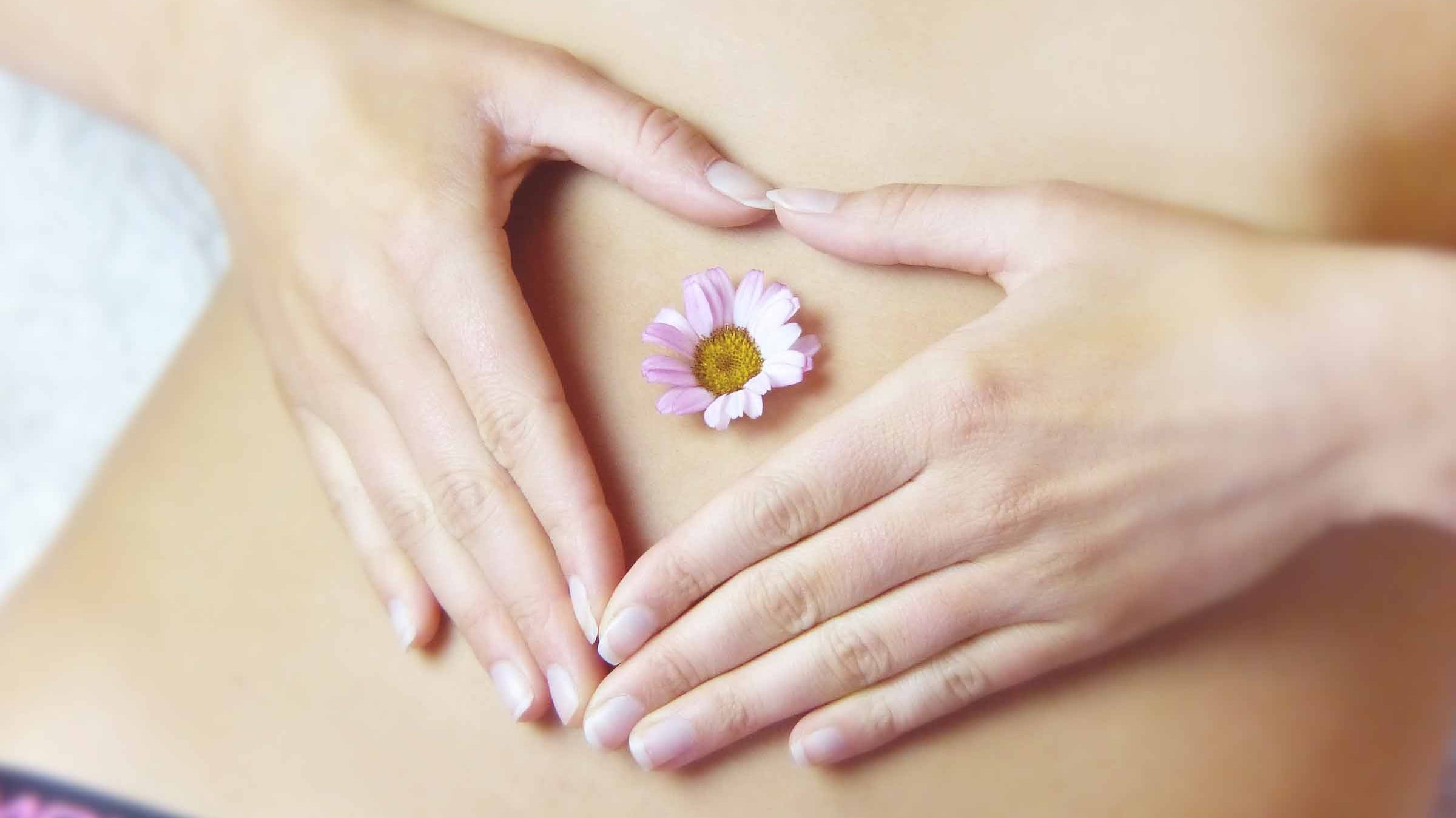 The Benefits of Matcha for Improving Metabolism and Digestion