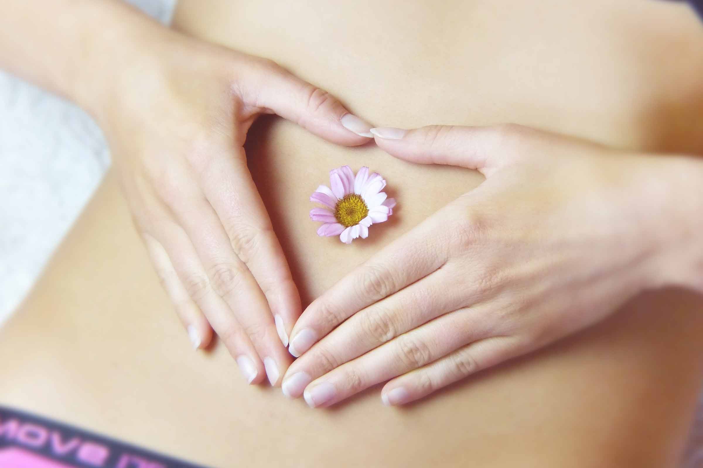 The Benefits of Matcha for Improving Metabolism and Digestion